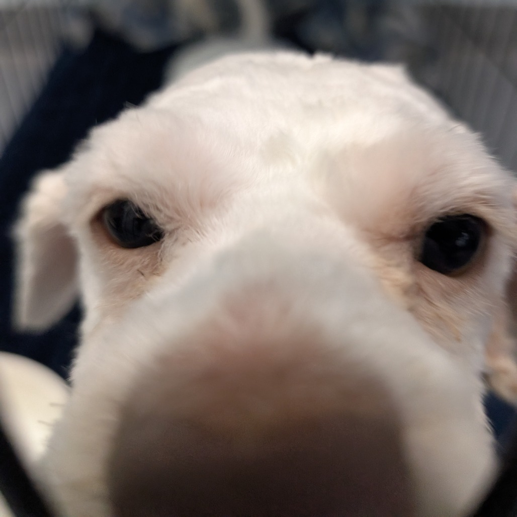 CLOUD — thumbnail 3