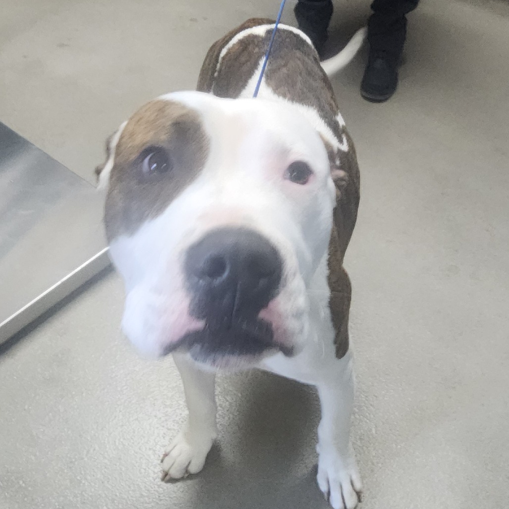 Kennel#25a Charlie's preview photo