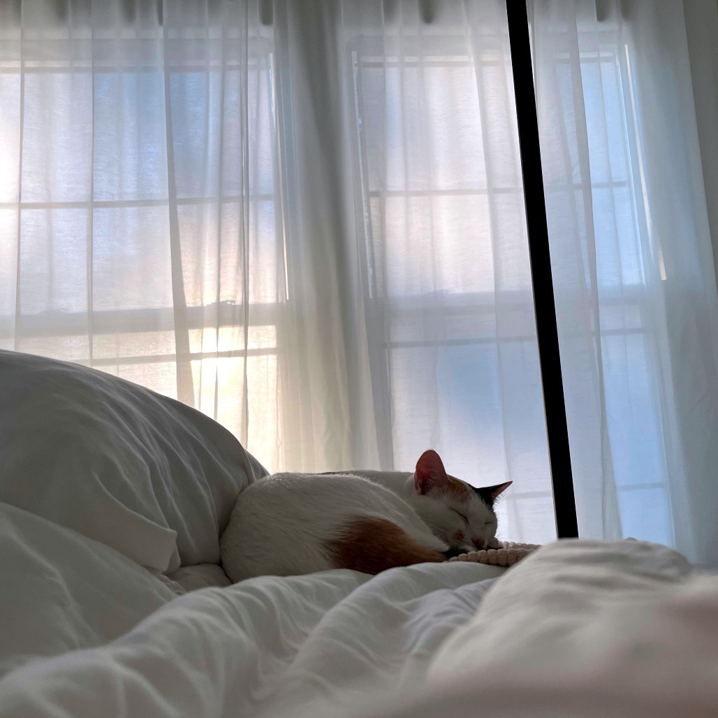 Samantha — thumbnail 10