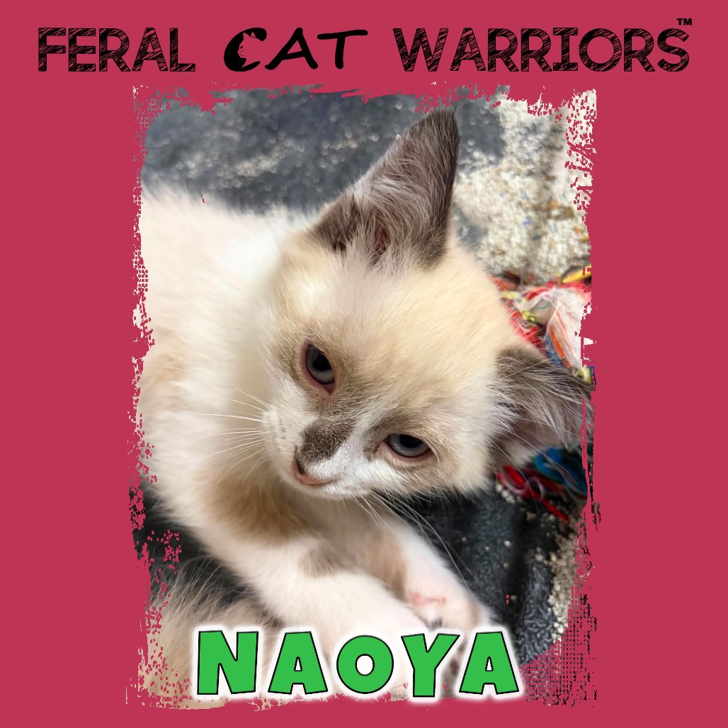 Naoya 