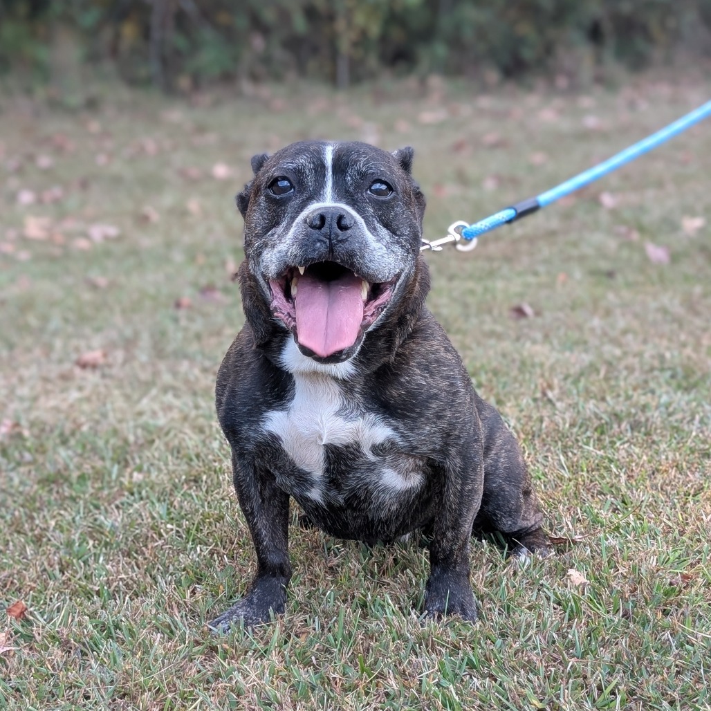 Truman 12-0707, photo 9
