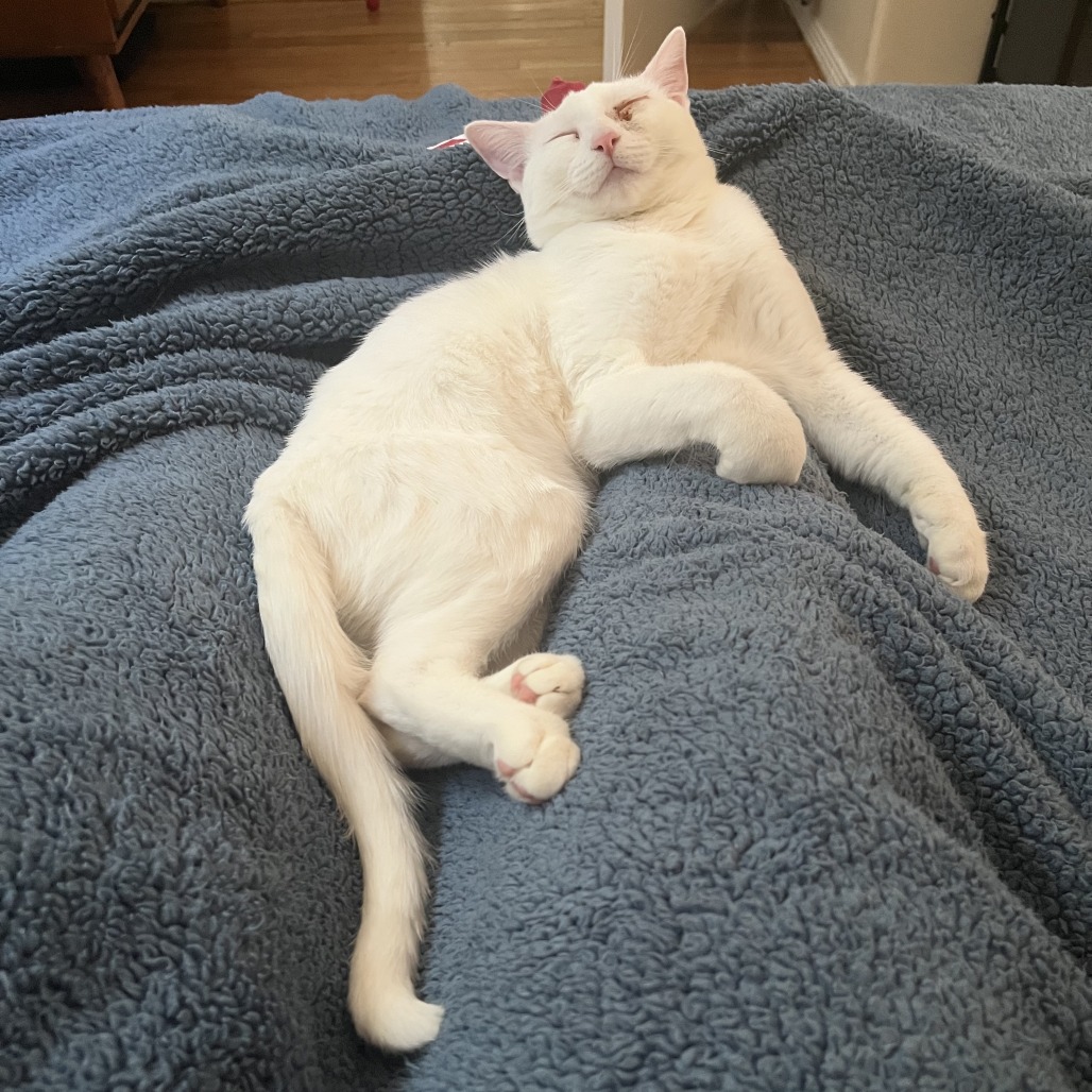 Matteo, photo 14