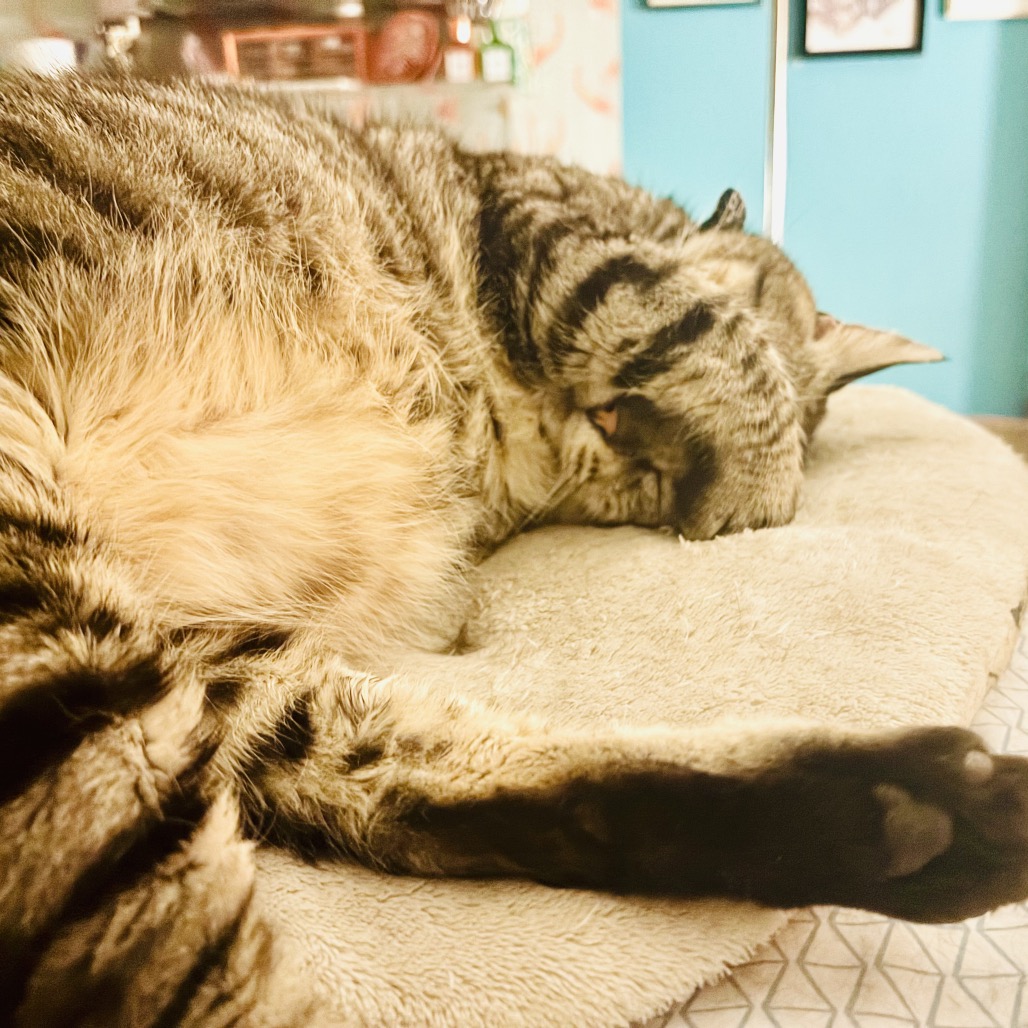 Alan, photo 16