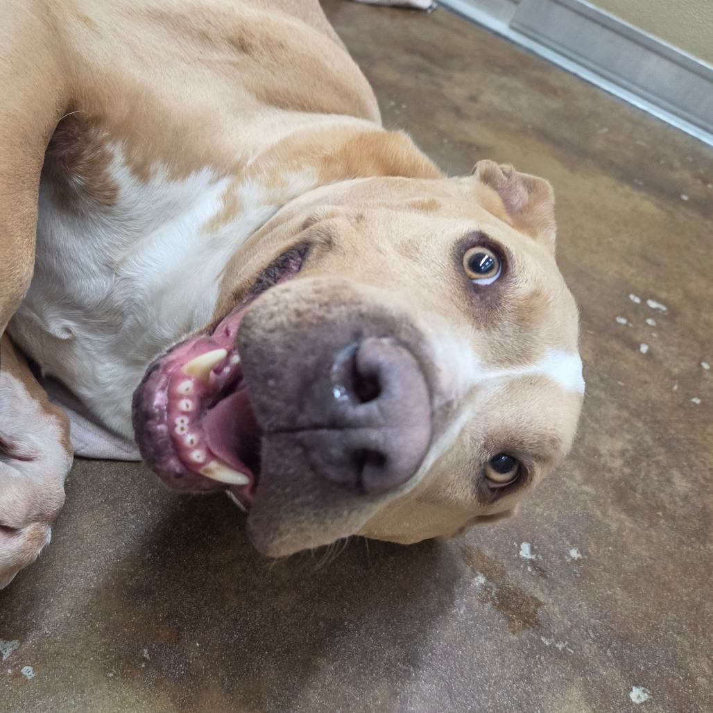 Velma — thumbnail 3