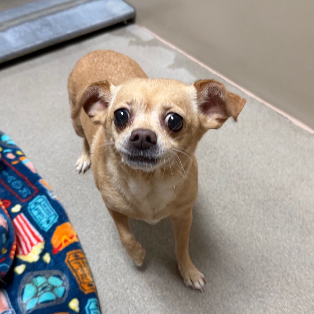 Kennel#4's preview photo