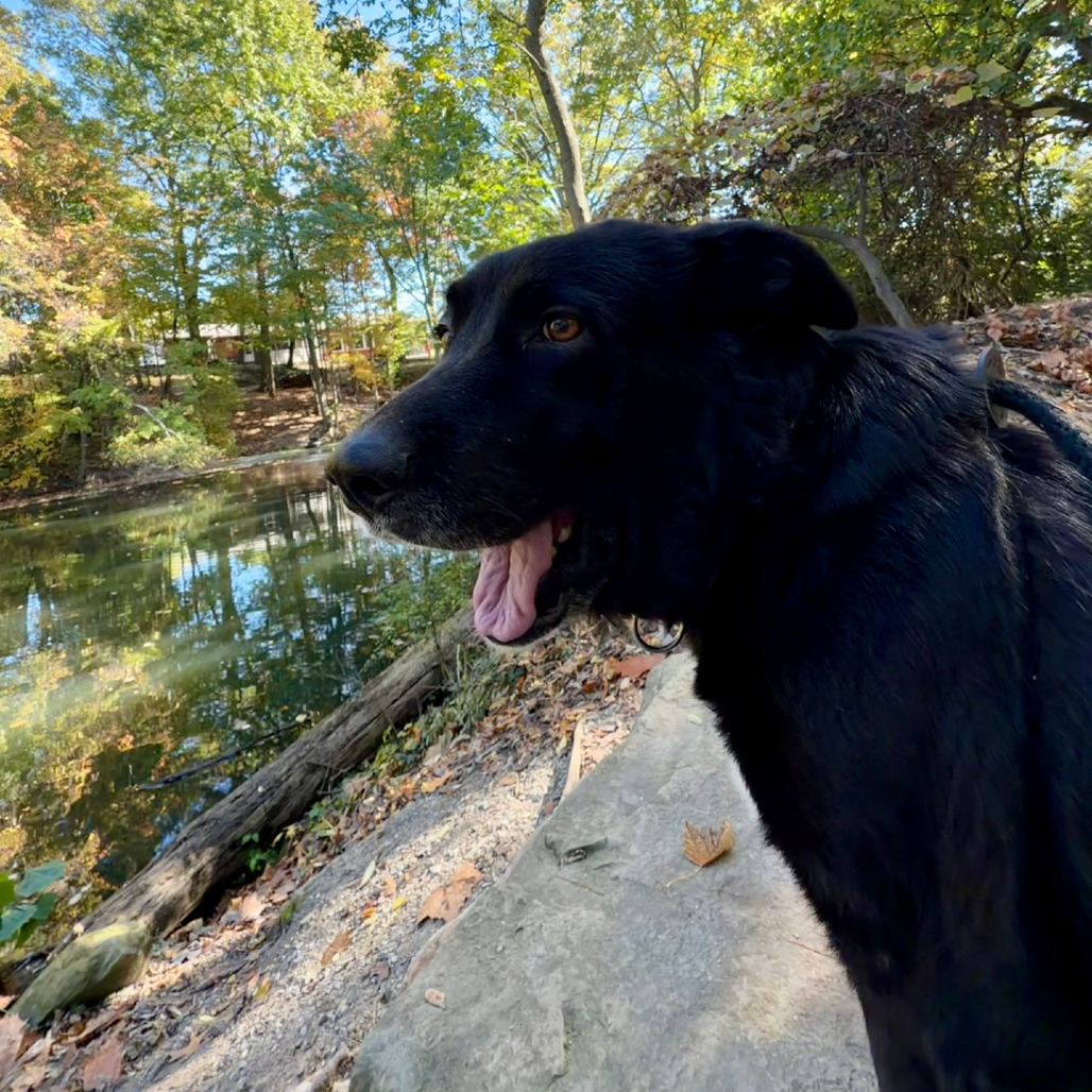 Daisy Jo, photo 19