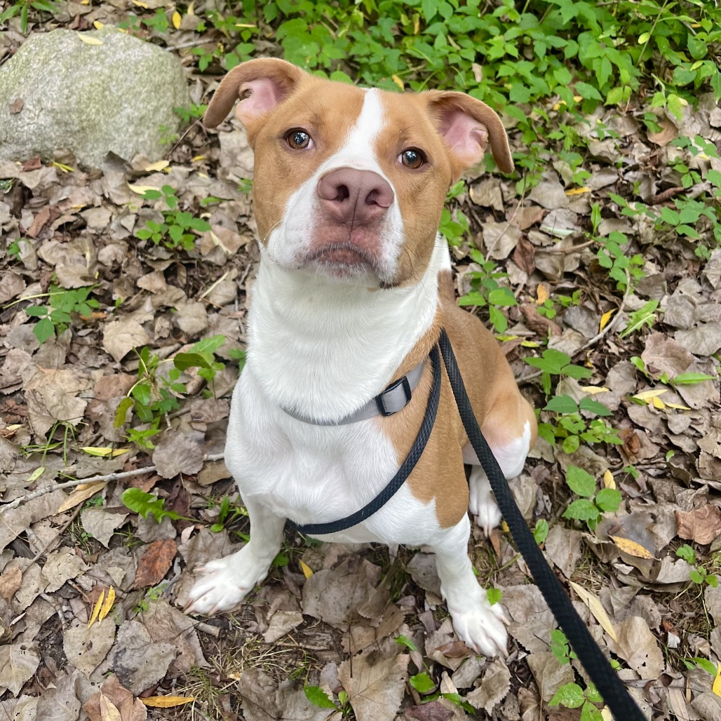 Woody-Foster — thumbnail 5