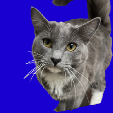 Tusc Stray 83100 2 3 4