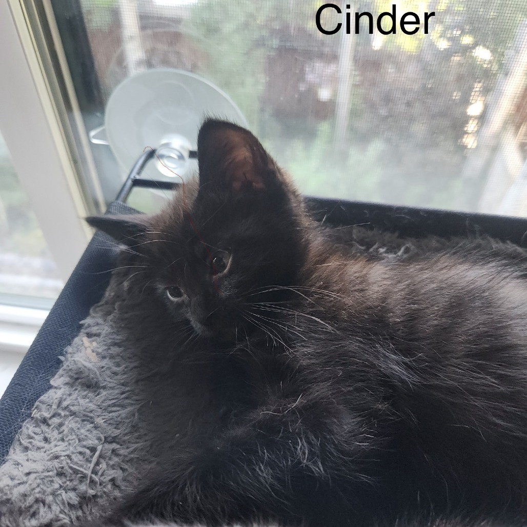 Cinder