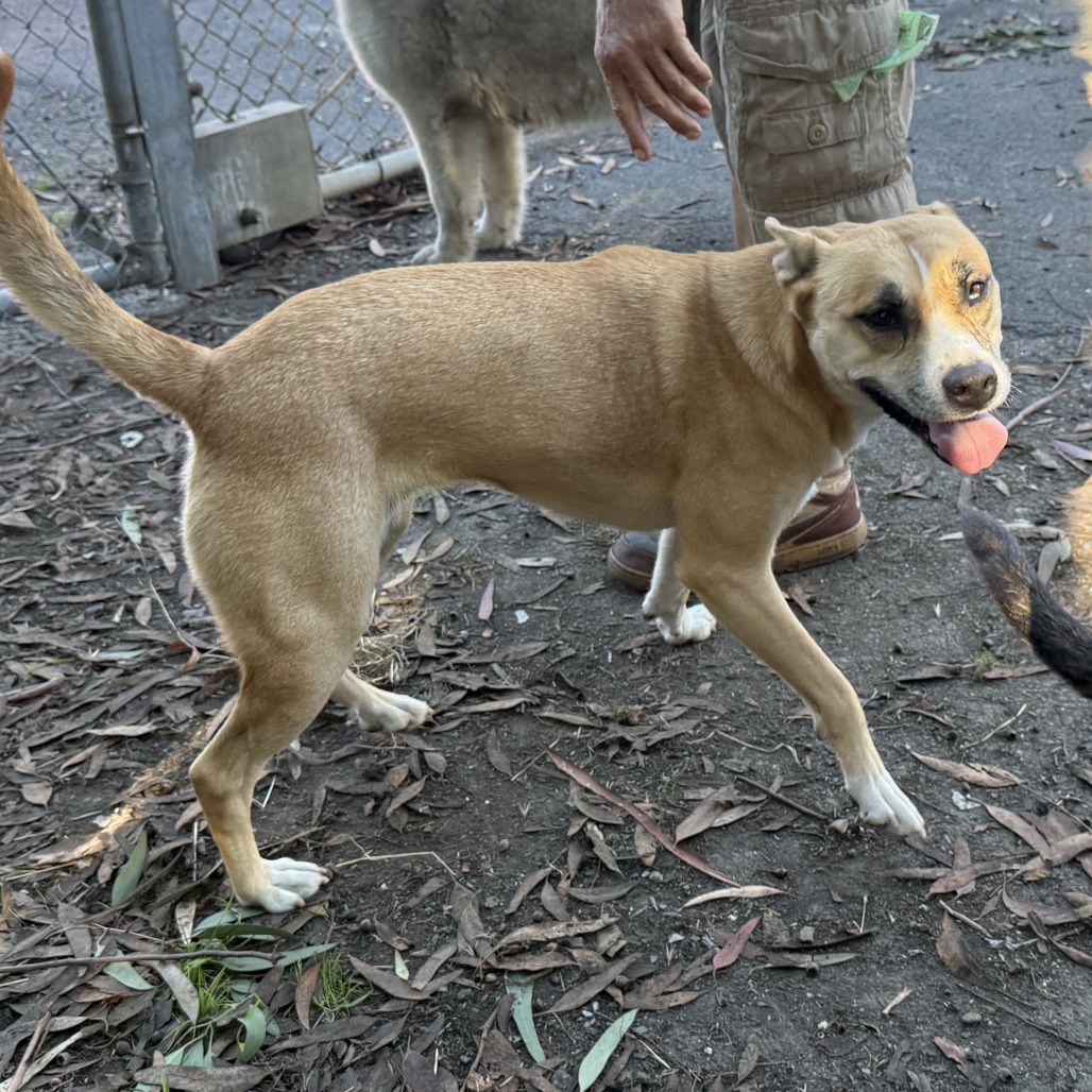 Latto — thumbnail 3