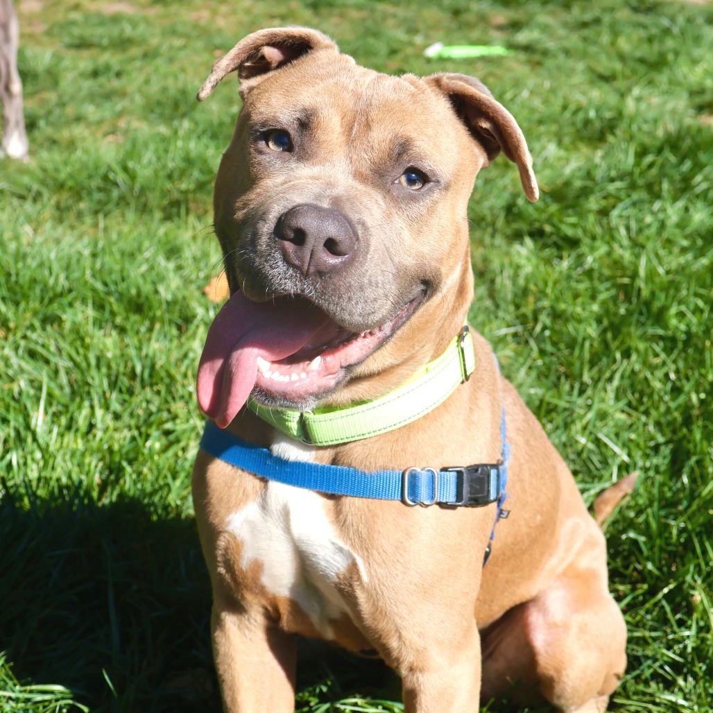 Ziggy — thumbnail 5