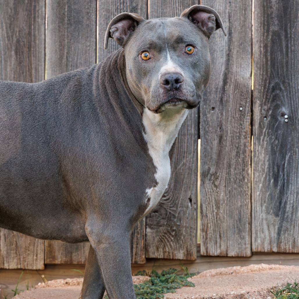 Photo of Blue
