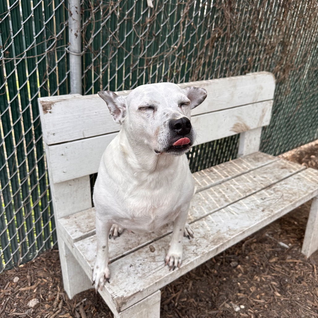 ONYX, photo 9