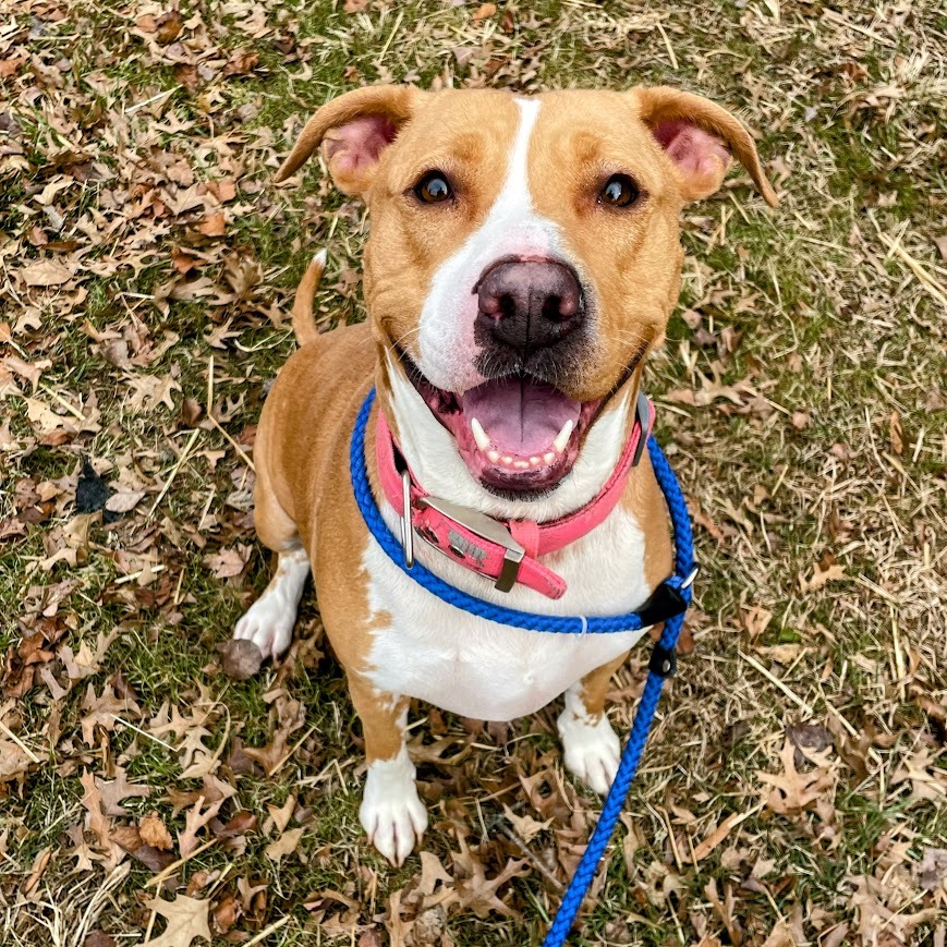 Kaycee — thumbnail 2