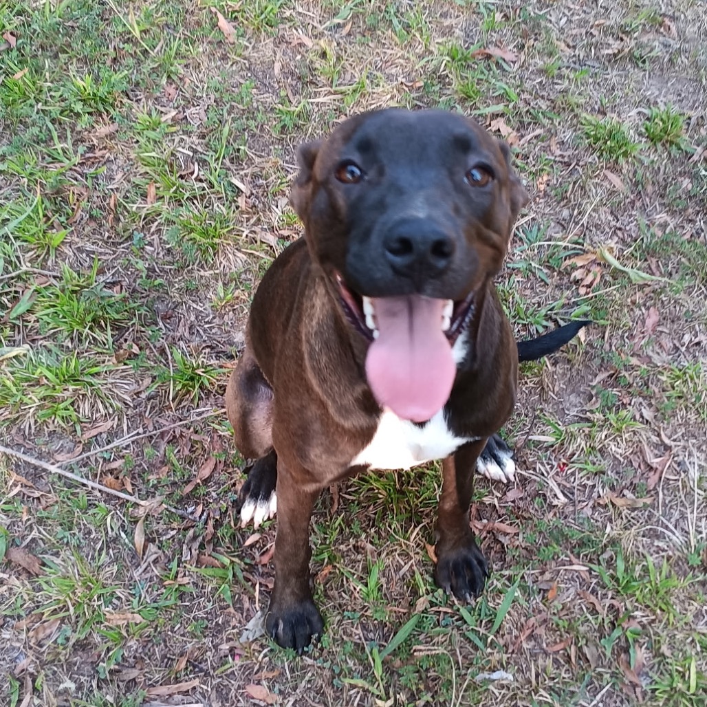 Amelia, photo 2