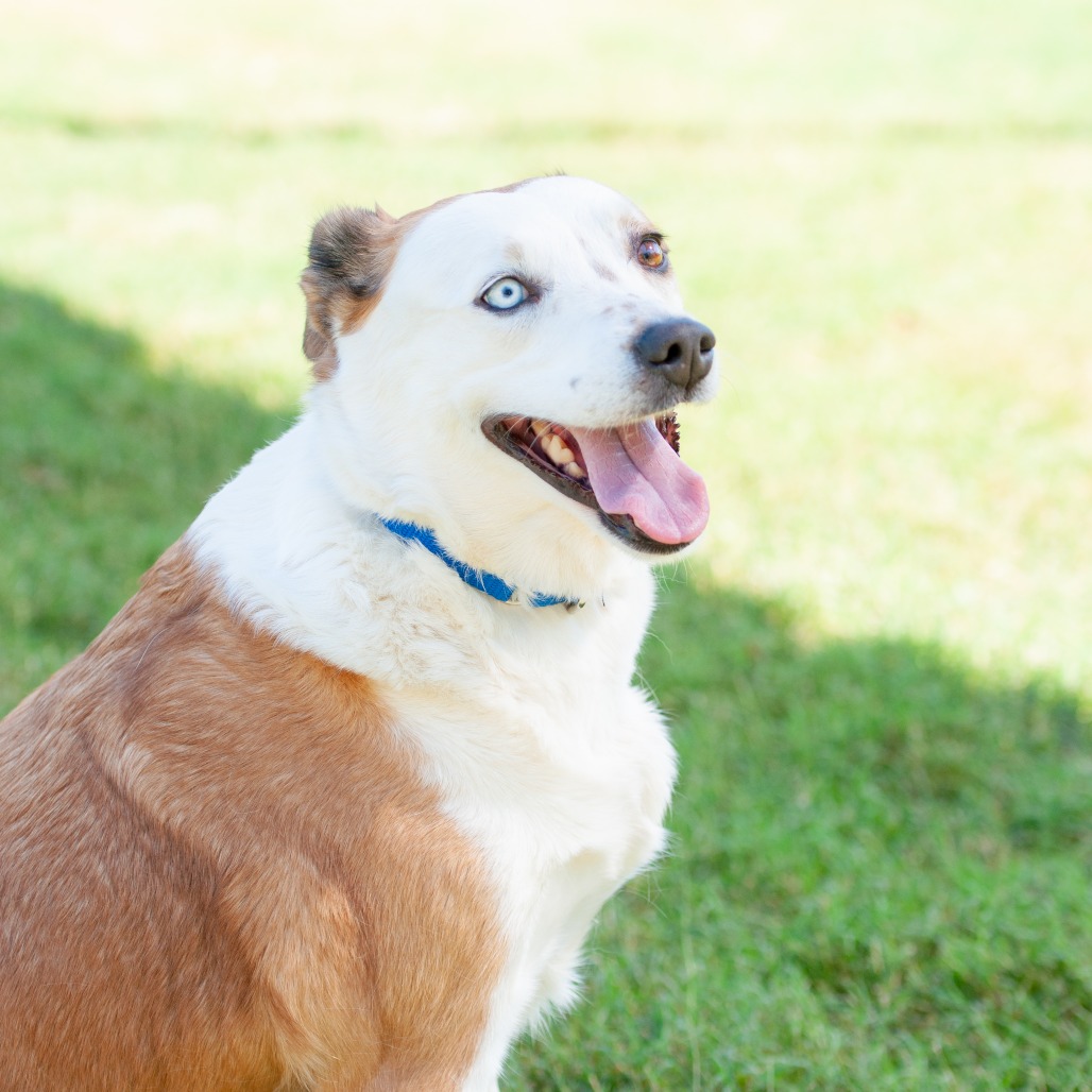 Sadie, photo 8