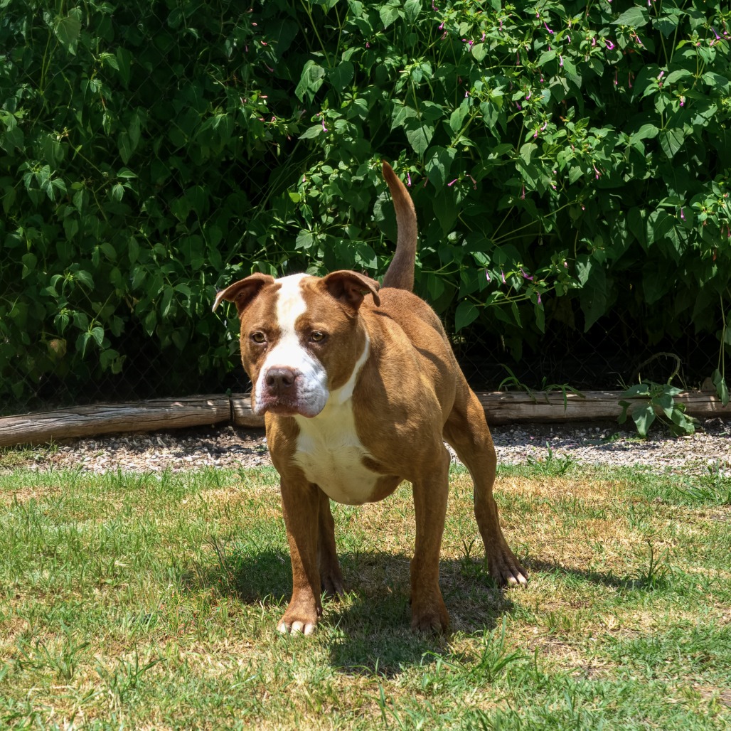 Photo of Remy