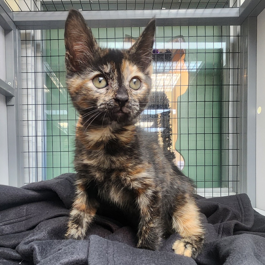 A#22's preview photo