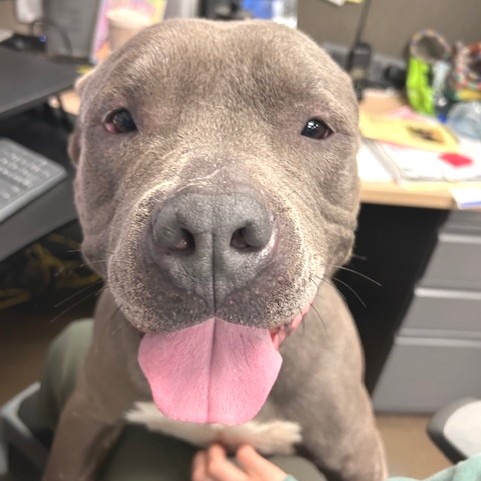 Jabarkus — thumbnail 7