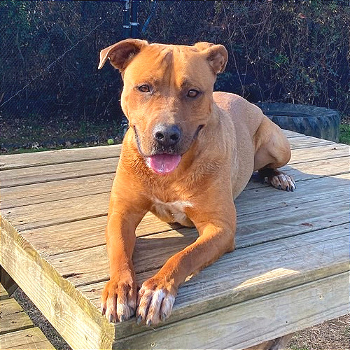 Elsie — thumbnail 10