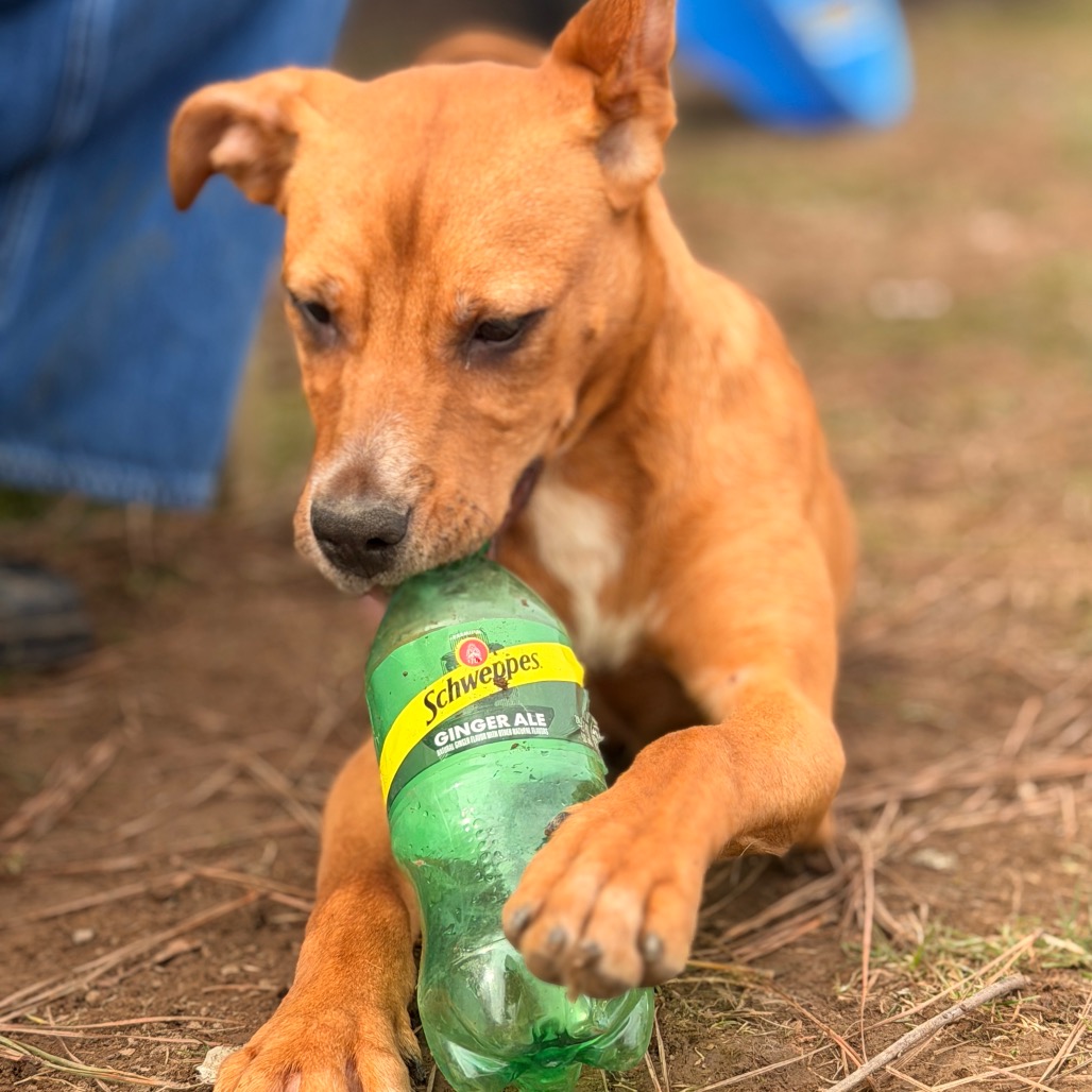 Namine — thumbnail 3