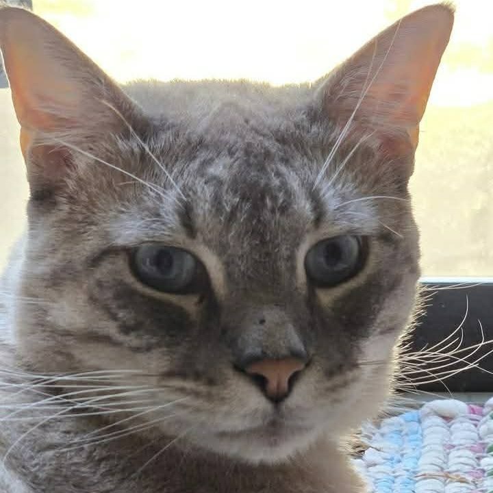 Photo of Beau 6