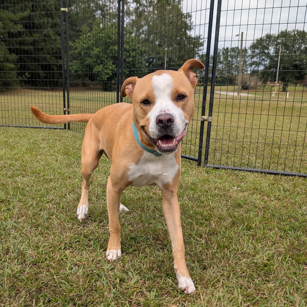 Bonnie 04-2230, photo 3