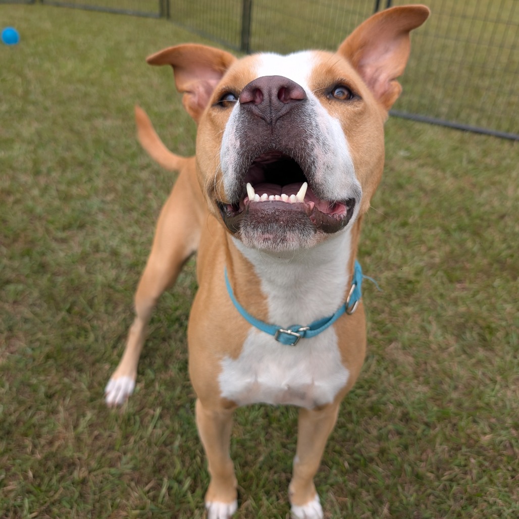 Bonnie 04-2230, photo 10