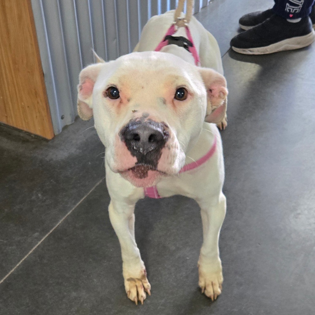 Zora — thumbnail 7