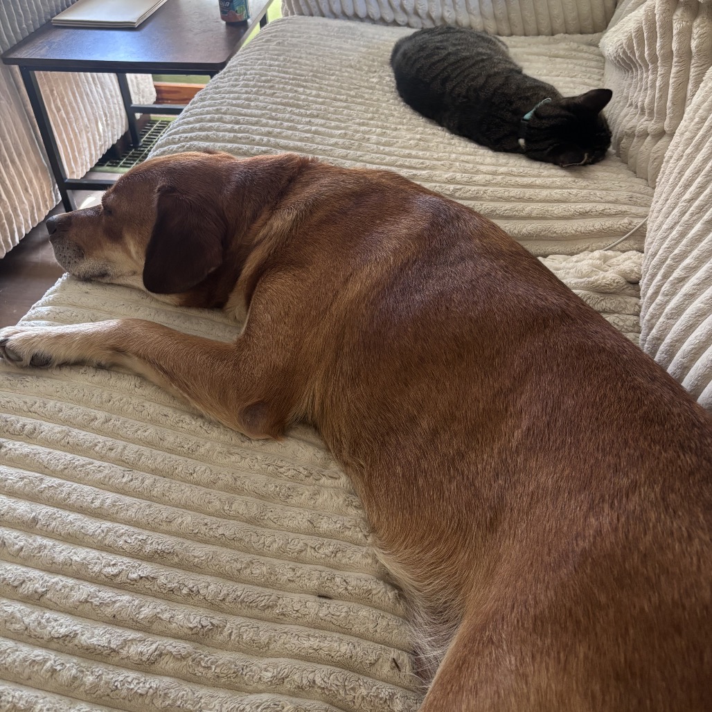 DeeDee, photo 10