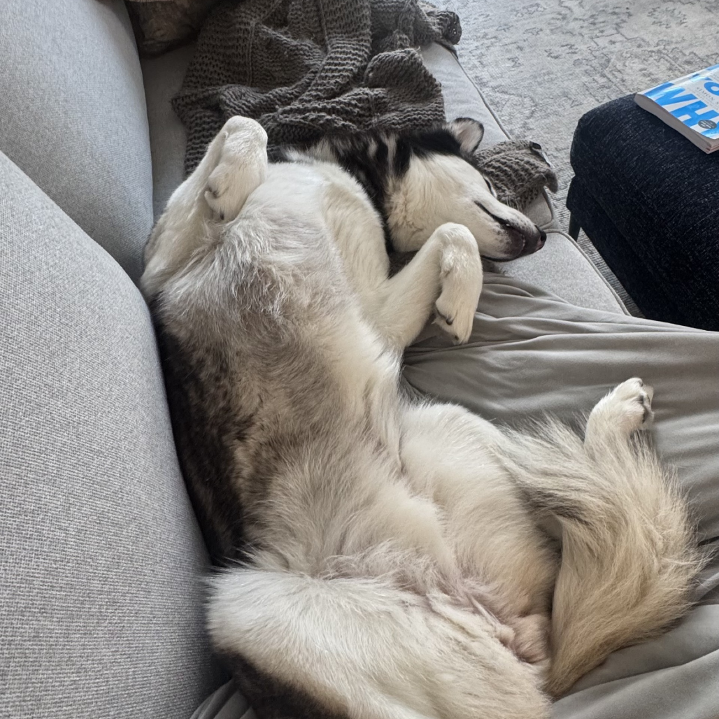 Photo of Freya 4
