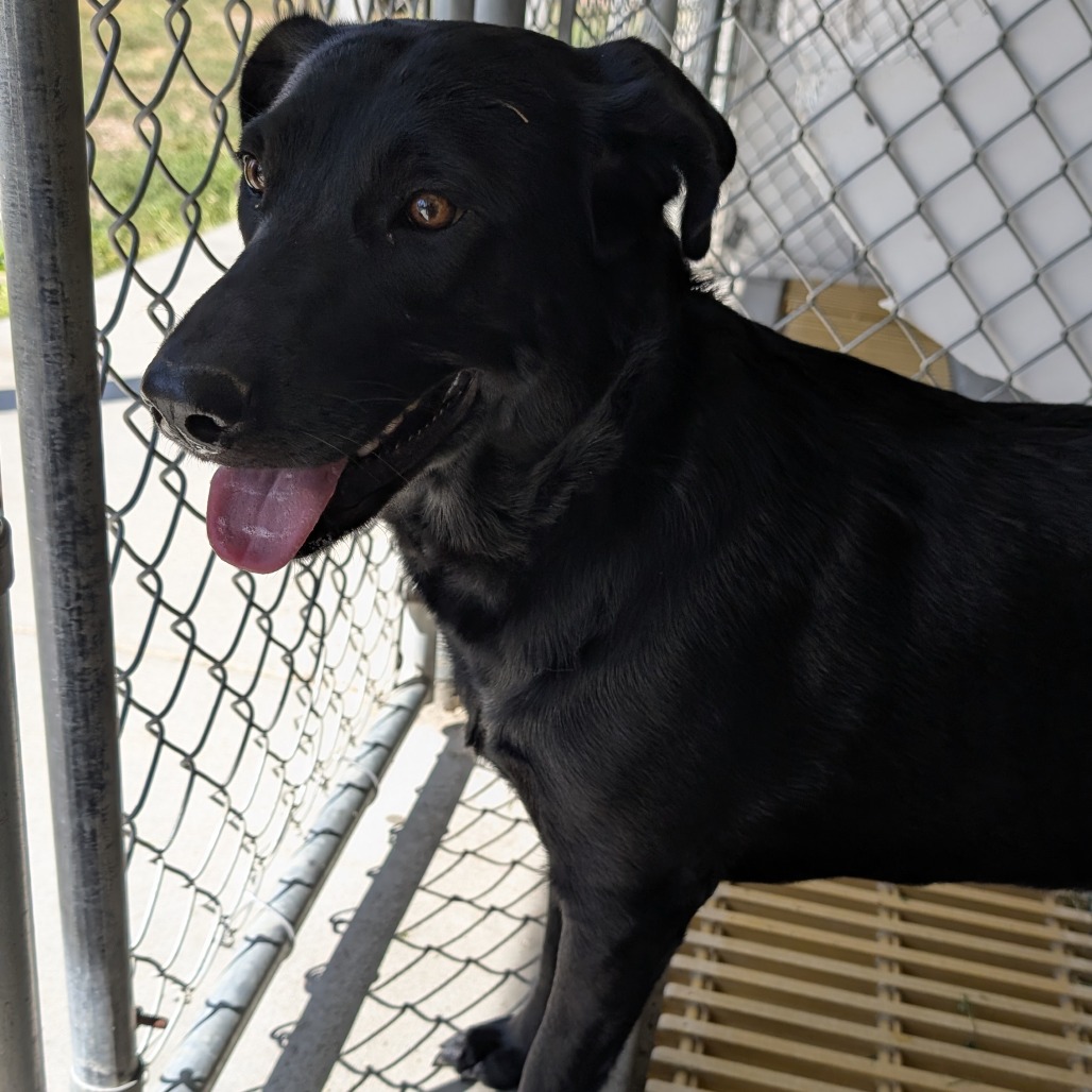 Betsy, photo 2