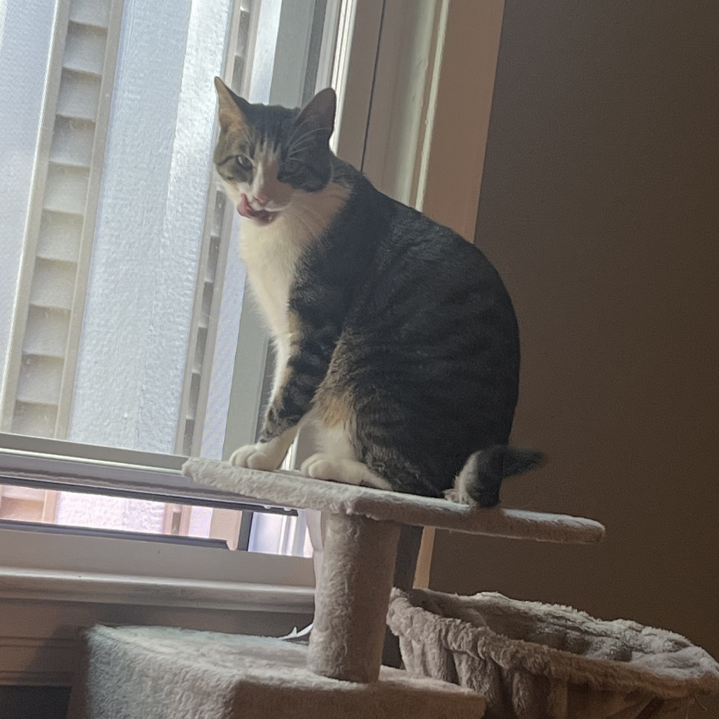 Burt (c2026), photo 13