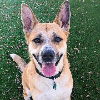 Duffy — thumbnail 3