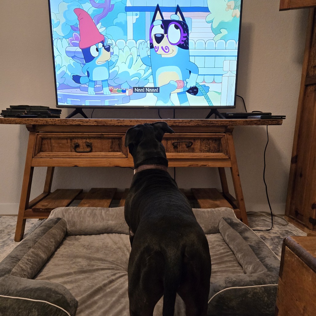 Shadow — thumbnail 7