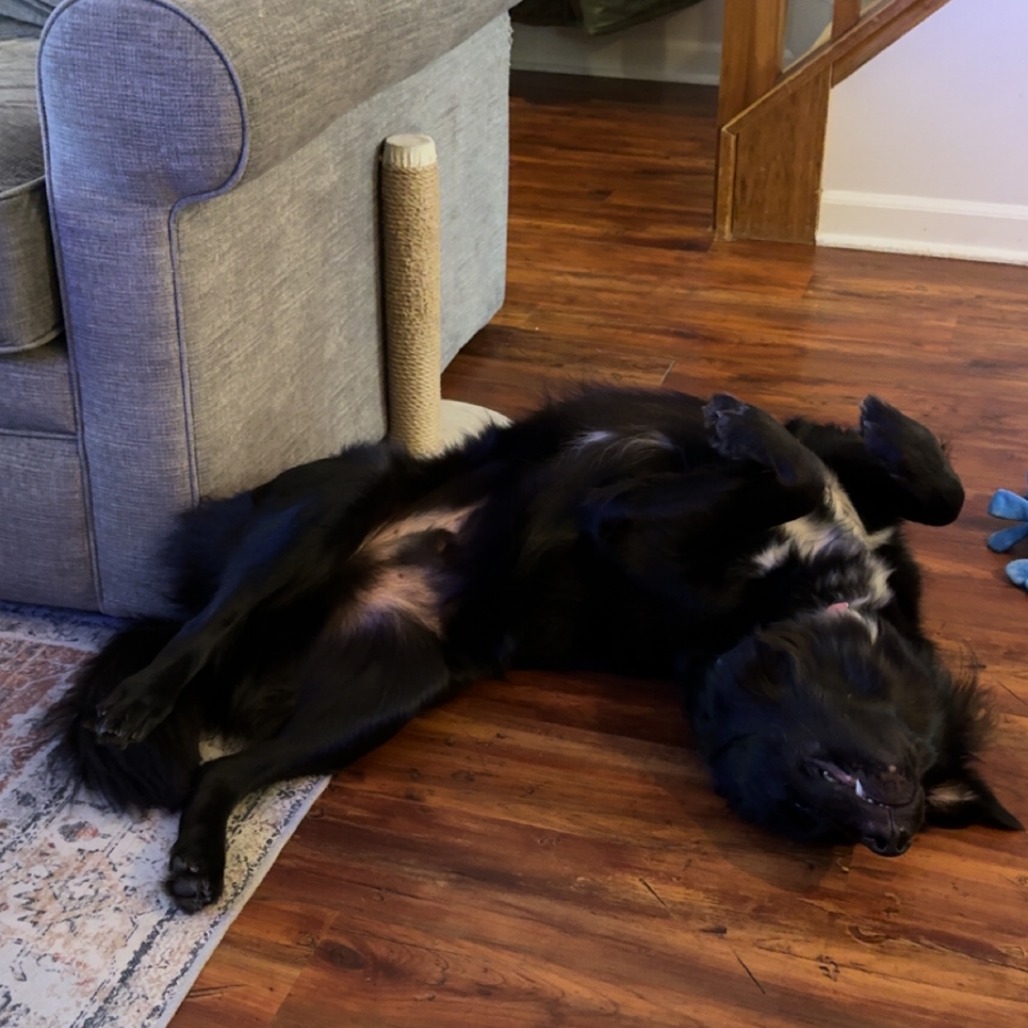 Edwin — thumbnail 4