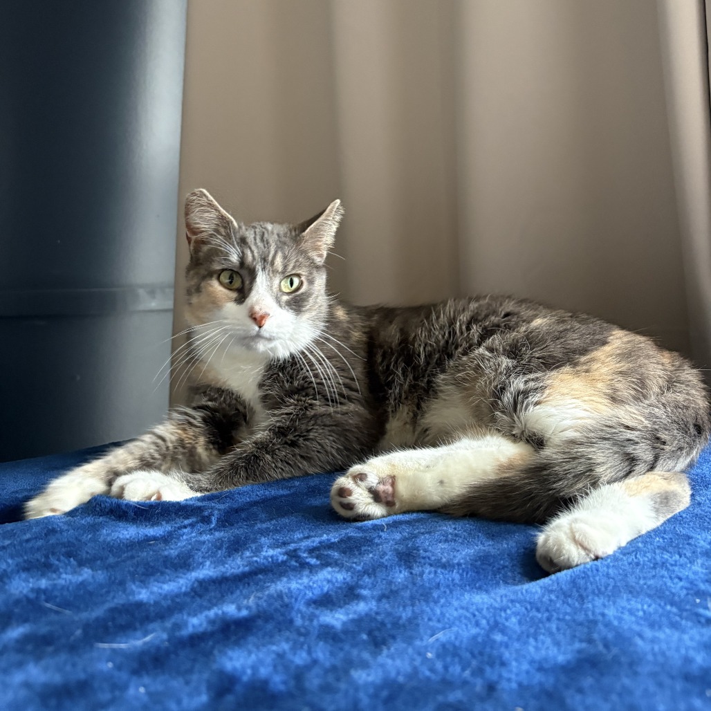 Margaret — thumbnail 3