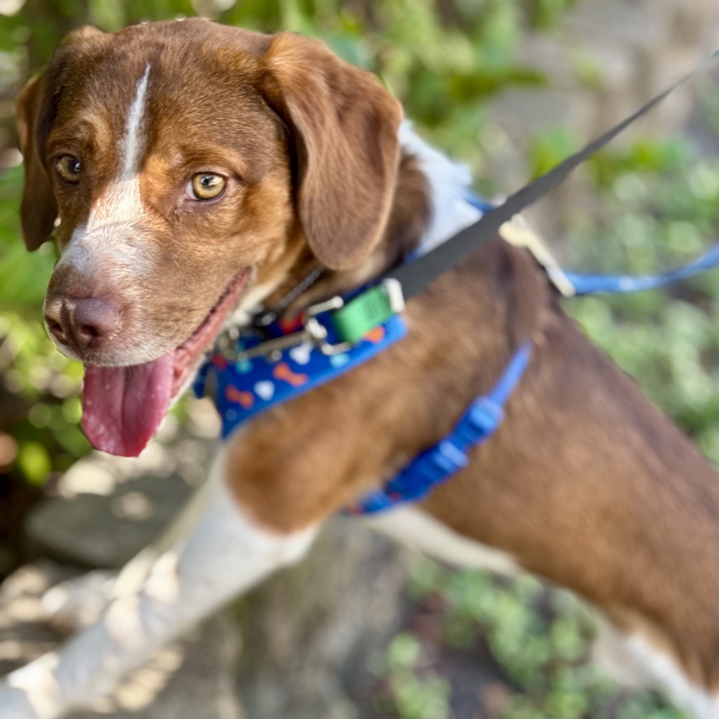 Full body shot of Red