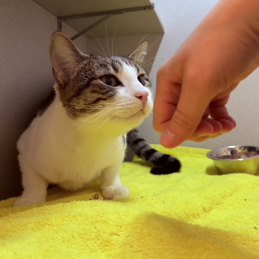 Photo of Nick Carraway 16