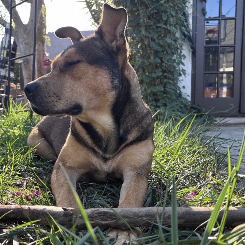 Lennon, photo 5