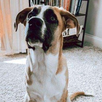 Marmaduke, photo 4
