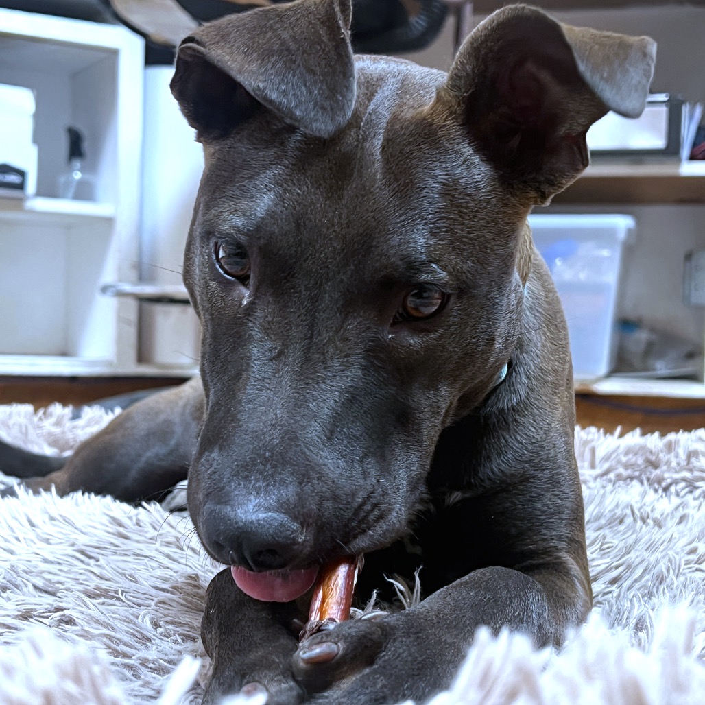 Winnie, photo 9