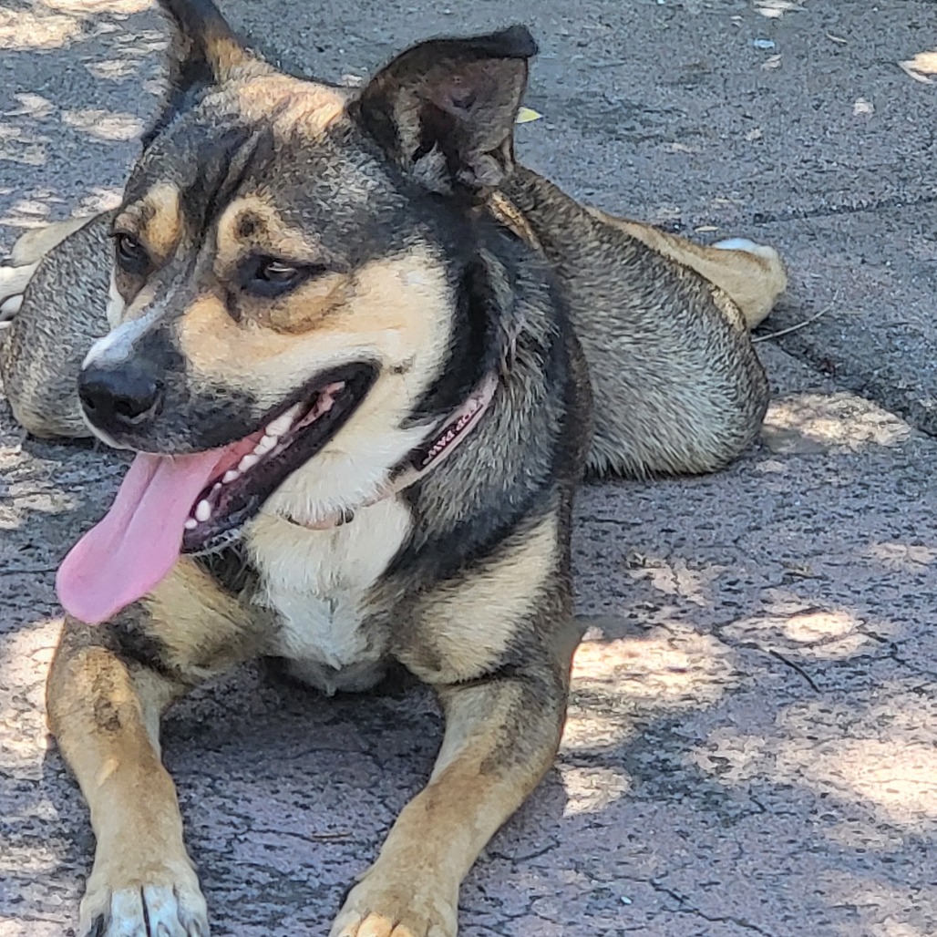 MIA