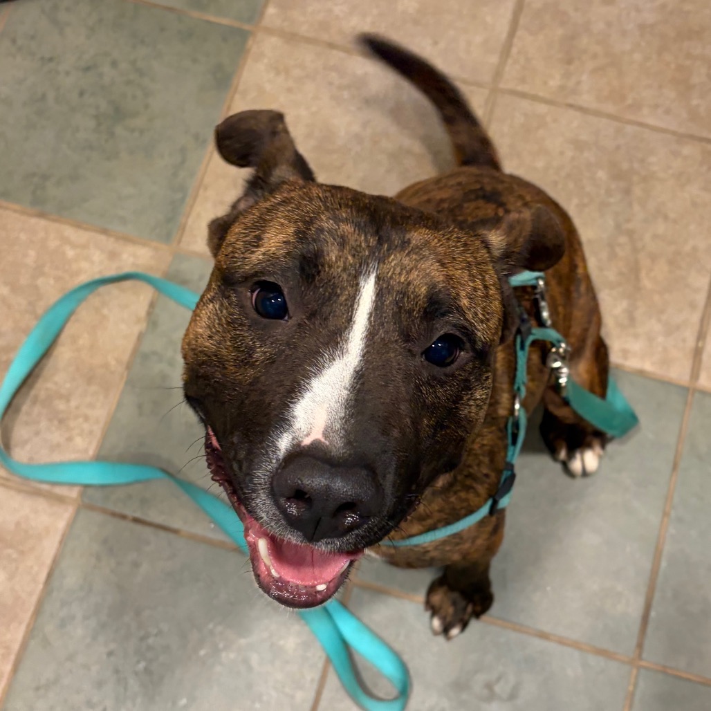 Titus — thumbnail 4