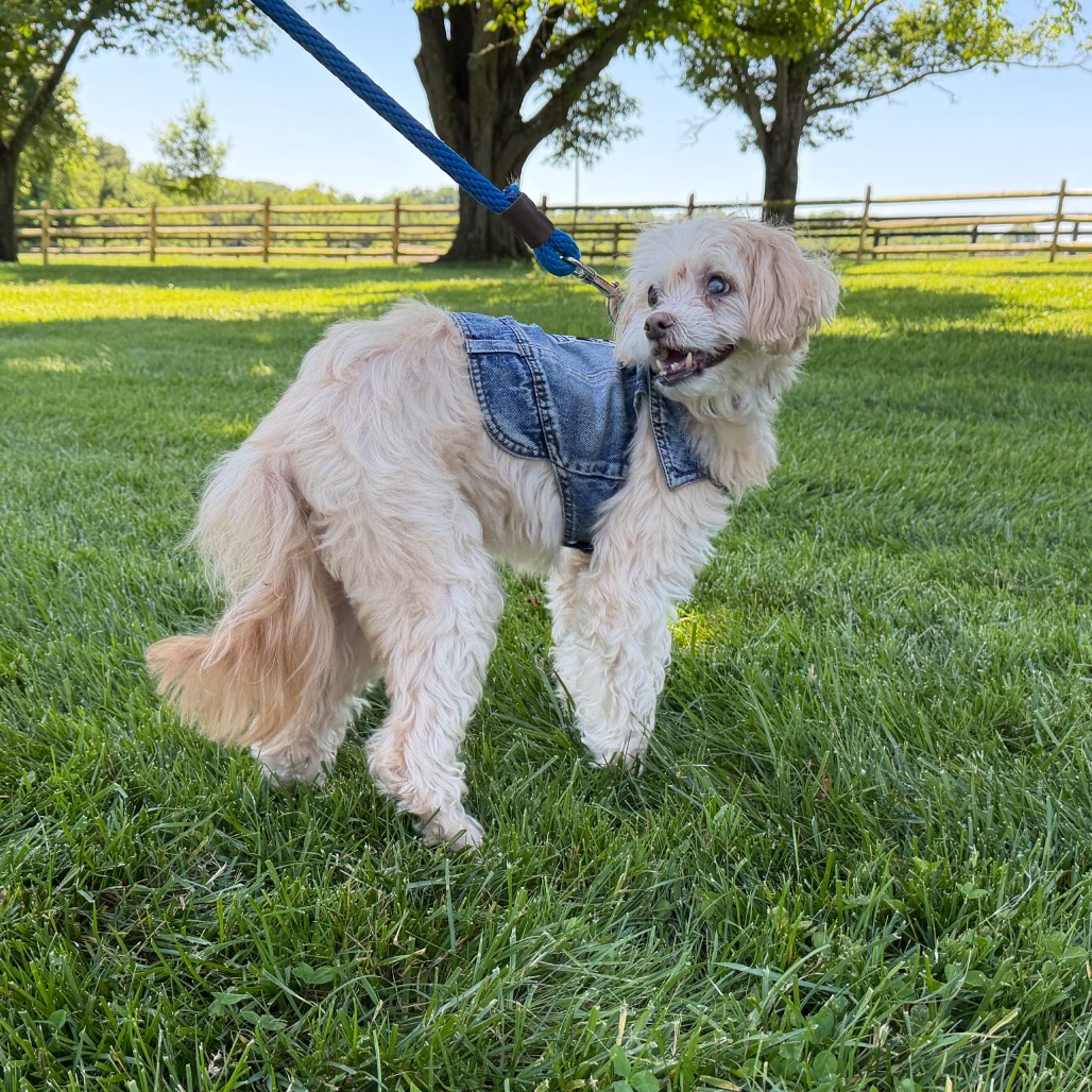 Crouton (Jelani), photo 25