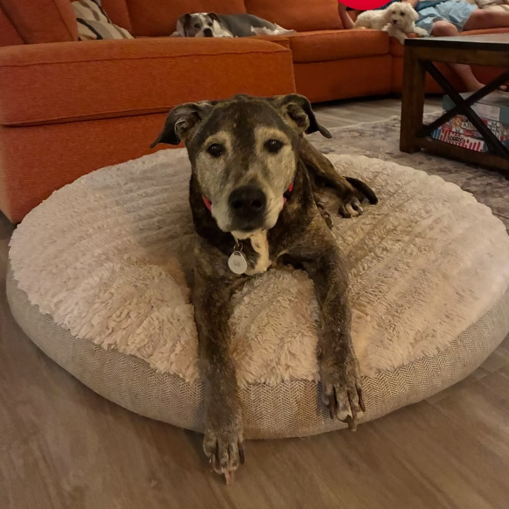 Kyla, photo 16