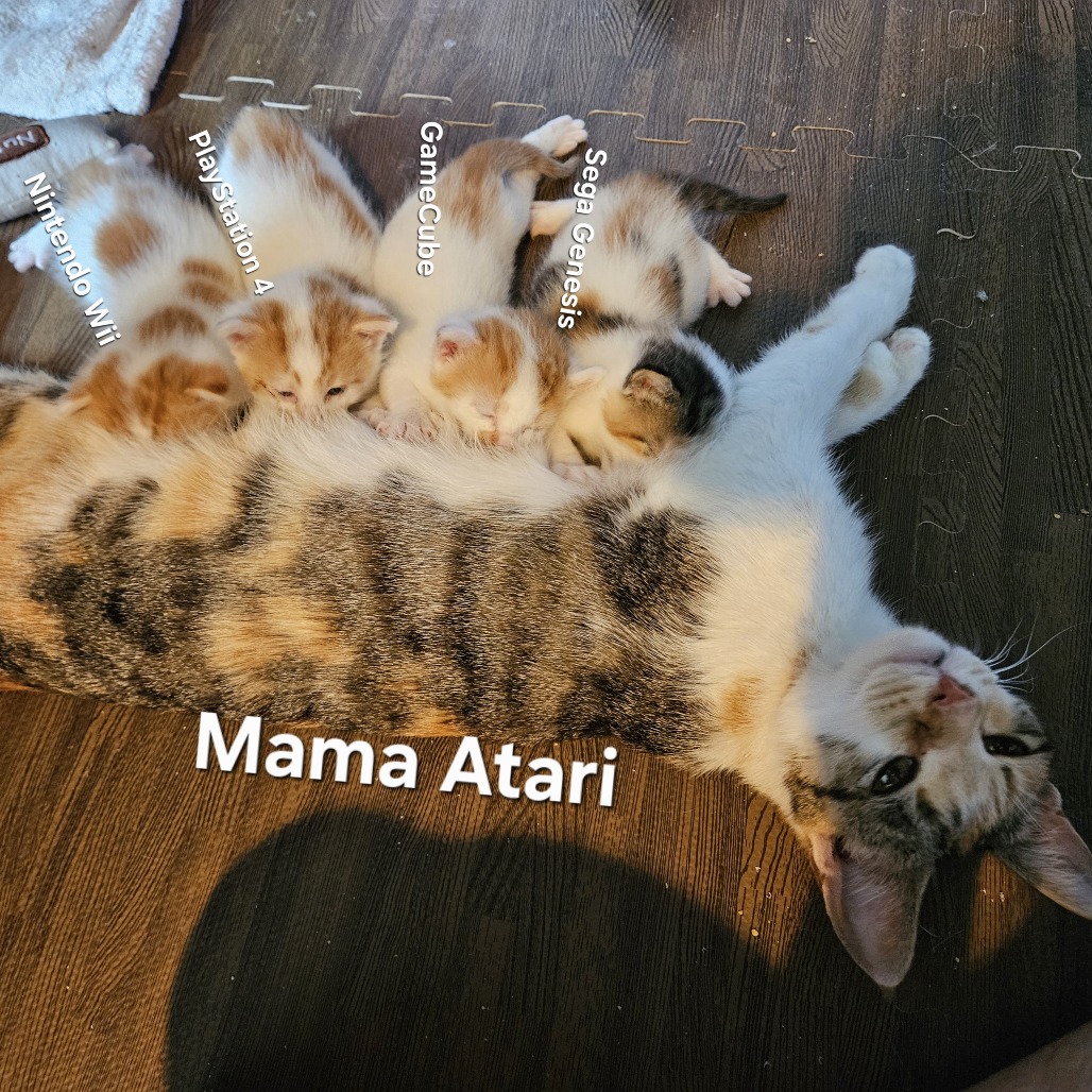 Mama Atari C12113