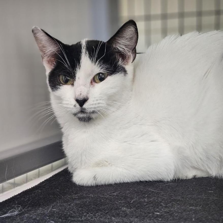 A#73's preview photo