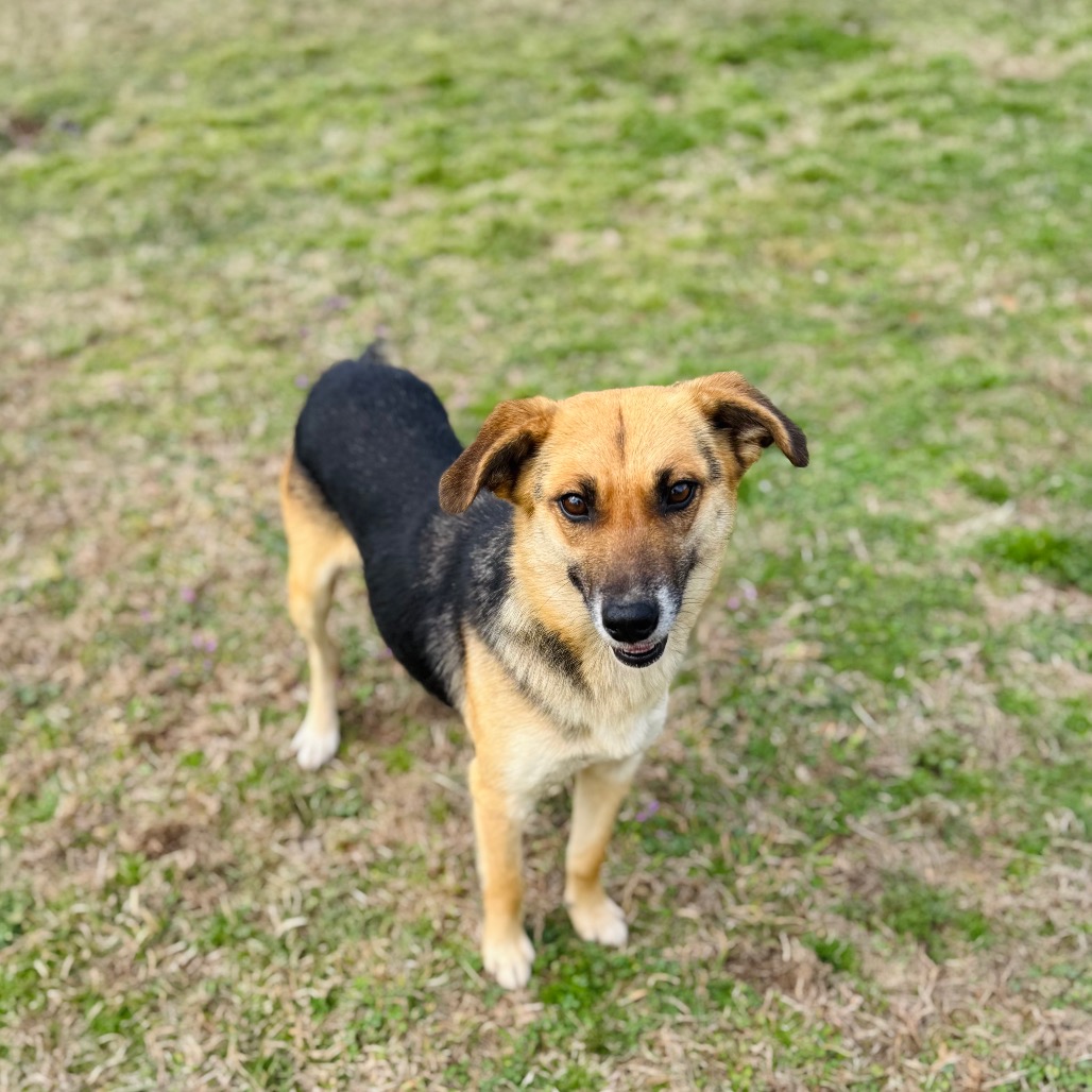 Greenie — thumbnail 4