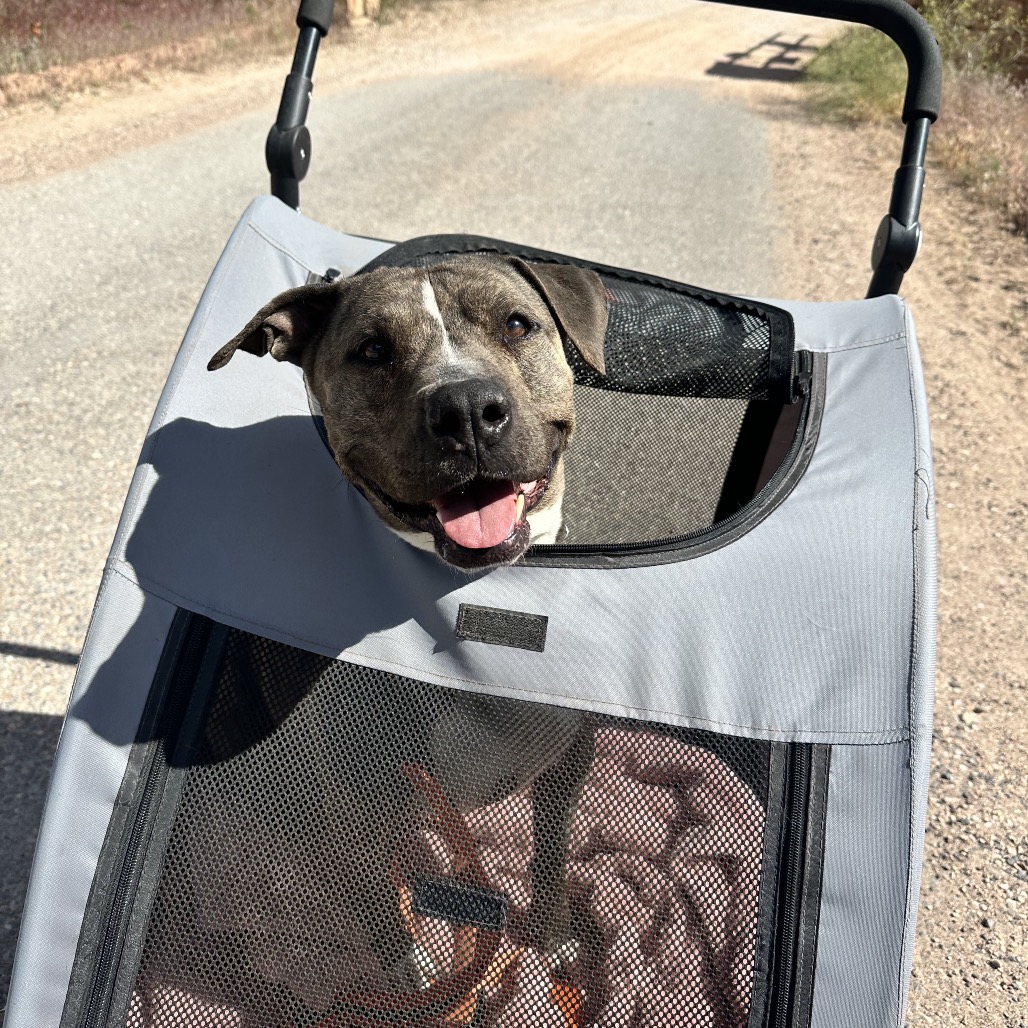 Lennie, photo 21